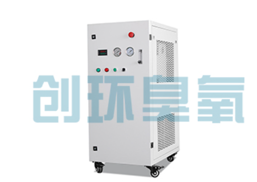 鄂尔多斯石斑鱼养殖水质调控完整指南:臭氧发生器配置与操作步骤