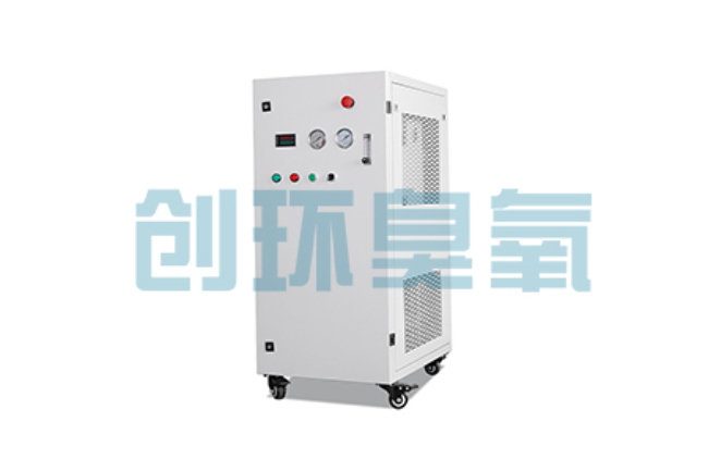 鄂尔多斯比传统换水更高效?臭氧发生器在石斑鱼养殖中的水质净化原理解析
